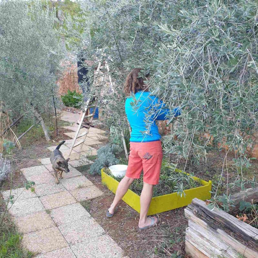 Mary'S Garden Vila Tulisevica Exterior foto