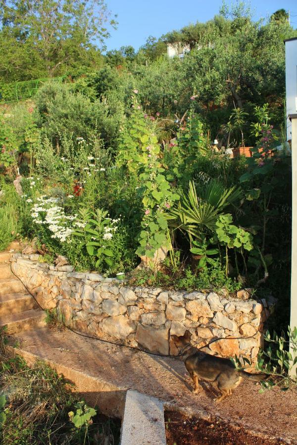 Mary'S Garden Vila Tulisevica Exterior foto